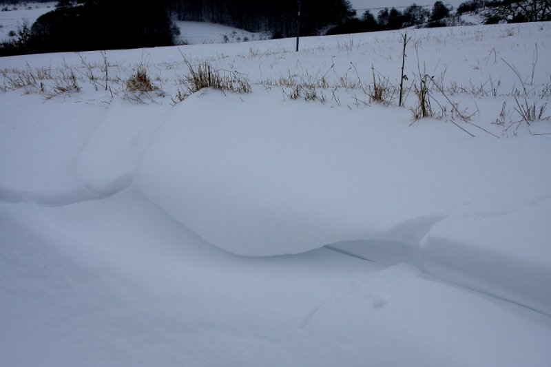 Winter 17.12.2010 010.JPG